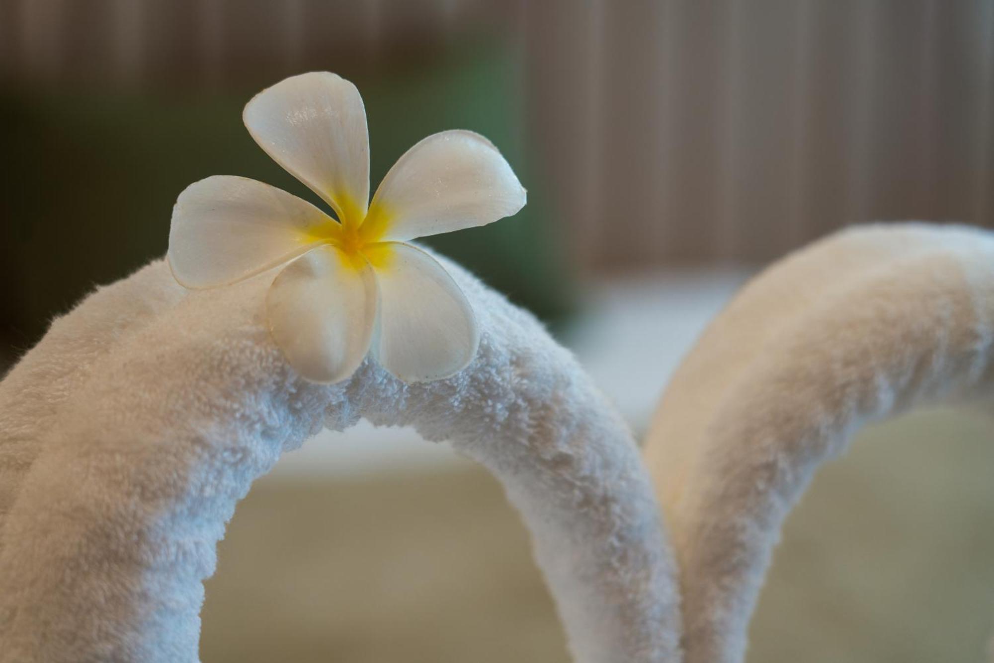 Niranapa Boutique Resort Kata Beach  Eksteriør billede